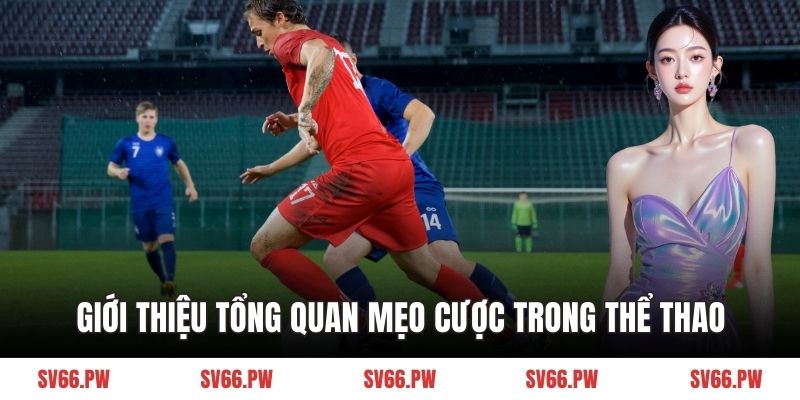 Giới thiệu tổng quan mẹo cược trong thể thao